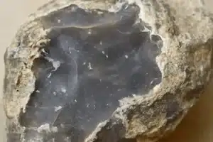 Flintstein