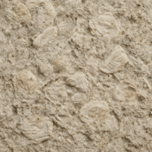 Muschelkalk